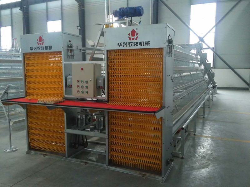 Henan Huaxing Poultry Equipments Co.,Ltd. कारखाना उत्पादन लाइन