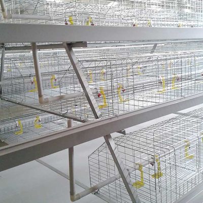 खेती ब्रायलर चिकन पिंजरे एक प्रकार 3 स्तरों स्वत: नियंत्रण स्थापित करने के लिए आसान