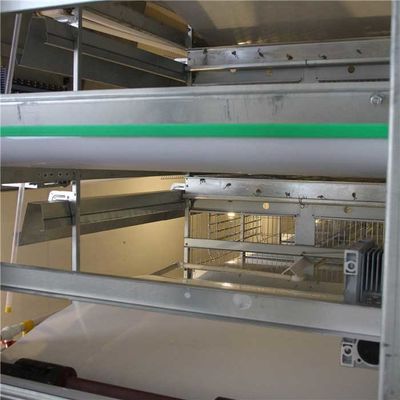 4 स्तरों पोल्ट्री फार्म सफाई उपकरण, स्वचालित चिकन फार्म मशीन