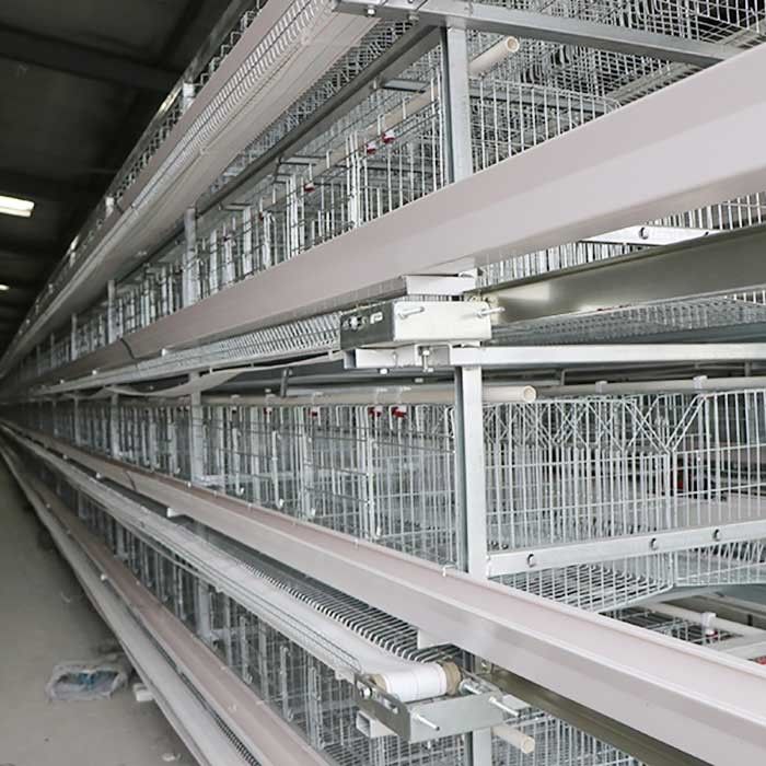 जस्ती Wrie बैटरी पिंजरे बिछाने के लिए मुर्गियाँ, अंडे चिकन पिंजरे श्रम की बचत