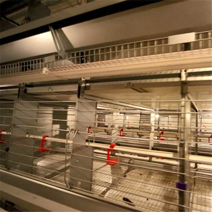 अग्निरोधक तार प्रजनन पिंजरों आसान सफाई 129 महिला मुर्गियों / पुरुष मुर्गियों की क्षमता