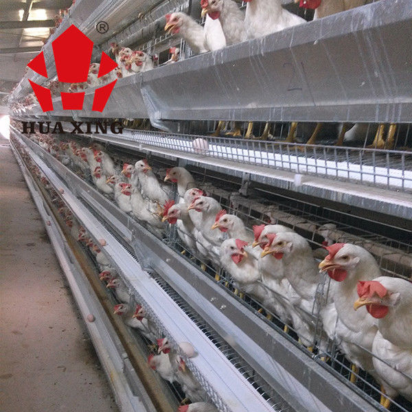 पिंजरे निर्माता 90 - 160 पक्षी गर्म जस्ती बिछाने मुर्गी पालन उपकरण परत चिकन पिंजरे