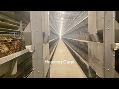 Automatic H Type Battery Wire Breeding Cage For Day Old Chick